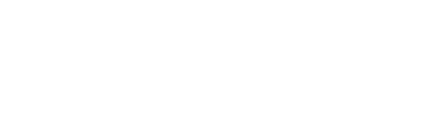 Jasa Website Murah Profesional